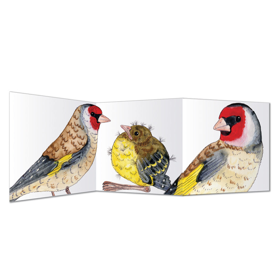 Zigzag Bird Cards