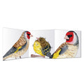 Zigzag Bird Cards