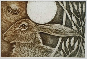 Hare Coasters by Artist Louise Scott