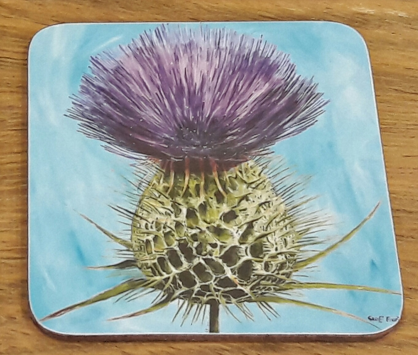 Geoff Foord Set of 4 Scottish Thistle Coasters tied with Tartan Ribbon
