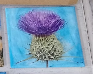 Geoff Foord Thistle Magnets - 4 Scottish Thistles