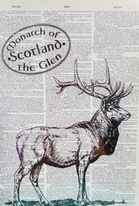 Scottish Themed Cards by Brave Scottish Gifts