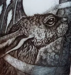 Large SQ Animal Cards by Louise Scott