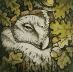Load image into Gallery viewer, Rook, Crow, Owl &amp; Swan Coasters by Artist Louise Scott
