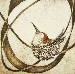 Bird Nest Coaster Collection by Artist Louise Scott