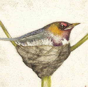 Bird Nest Coaster Collection by Artist Louise Scott