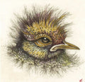 Bird Nest Coaster Collection by Artist Louise Scott