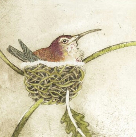Bird Nest Coaster Collection by Artist Louise Scott