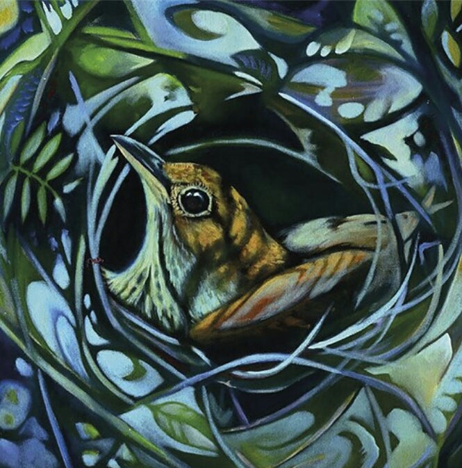 Birds in Nests Coaster Collection by Artist Louise Scott