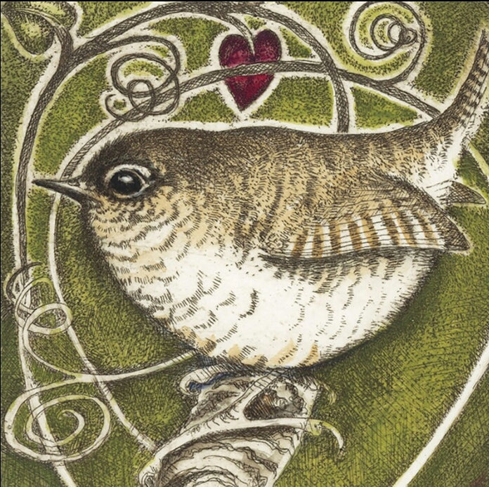 Large SQ Bird Cards by Louise Scott