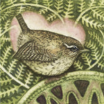 Load image into Gallery viewer, Large SQ Bird Cards by Louise Scott
