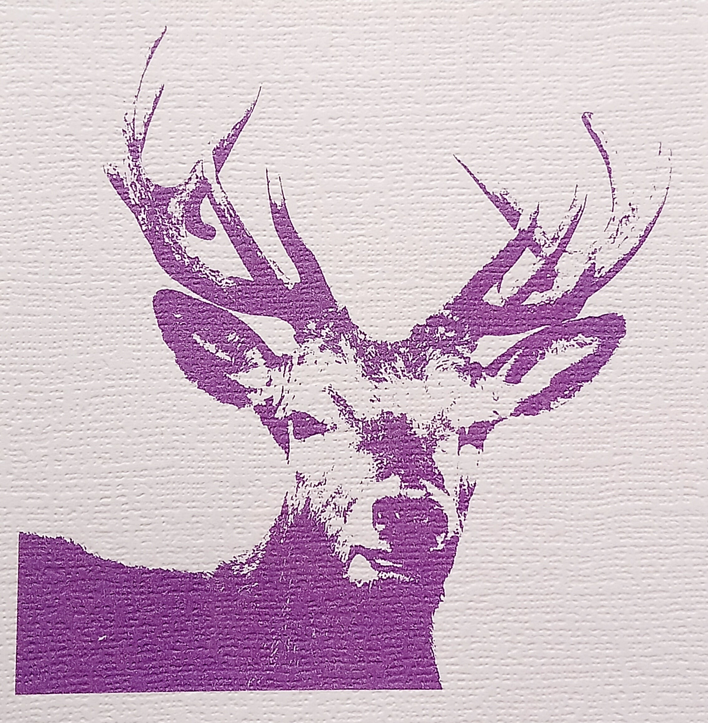 Scottish Stag Cards by Alan Craig Design