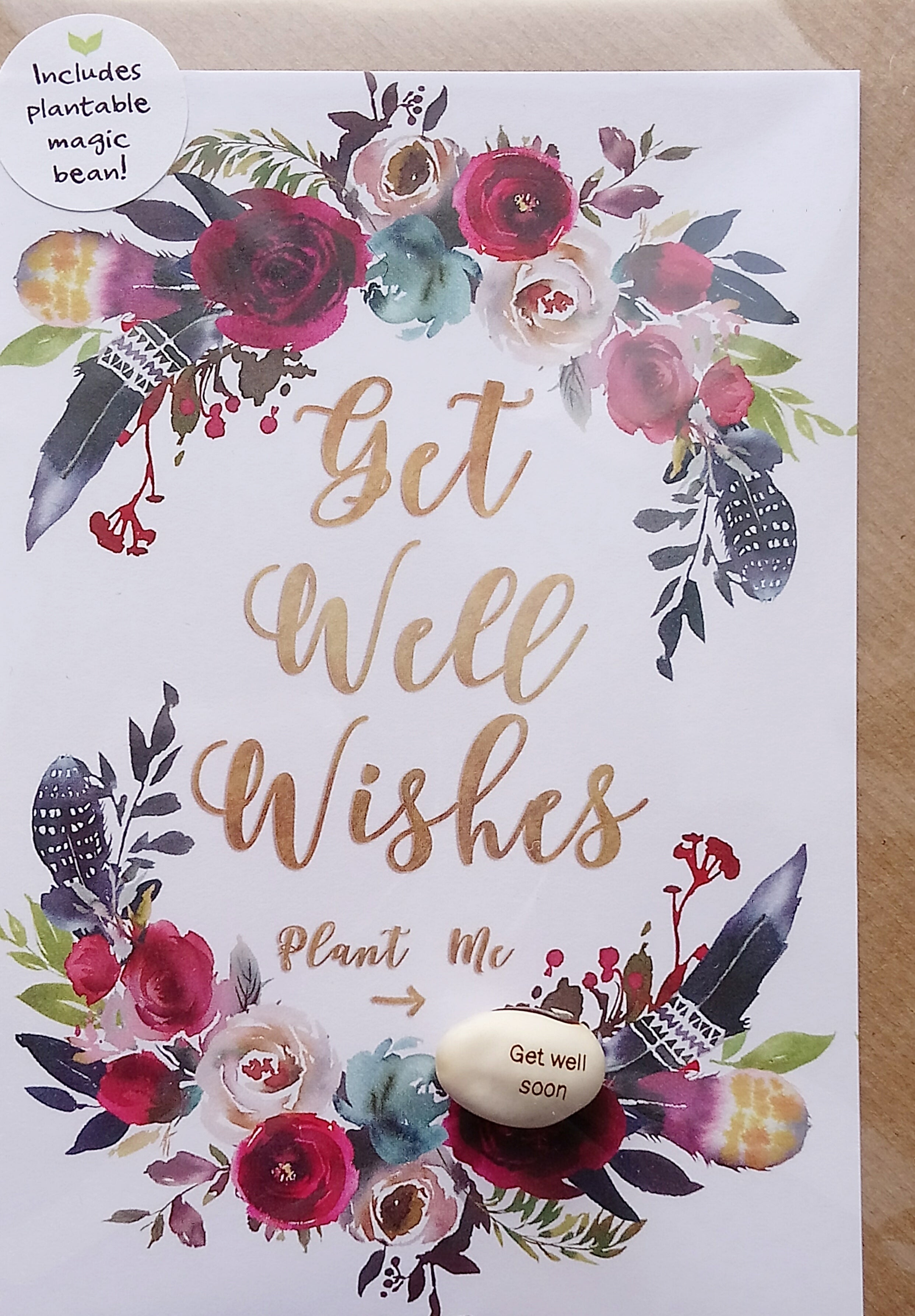 Magic Bean Get Well Card by Lucy and Lolly