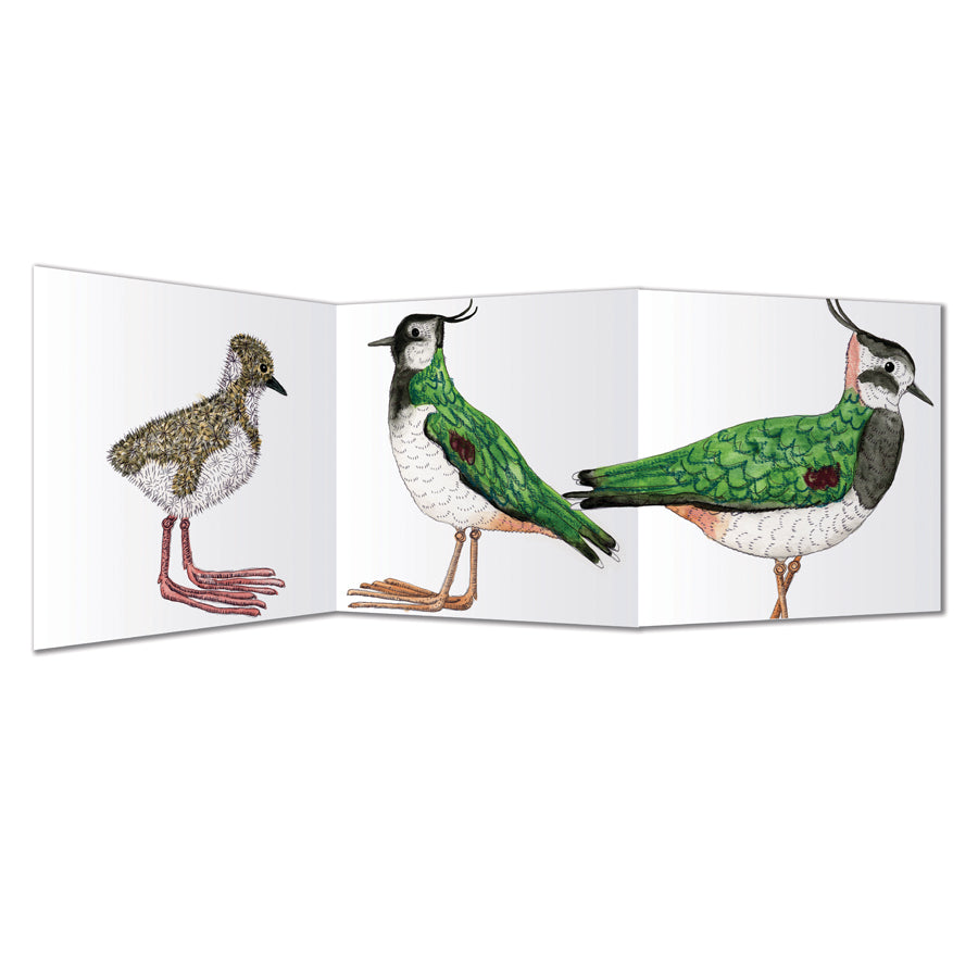 Zigzag Bird Cards
