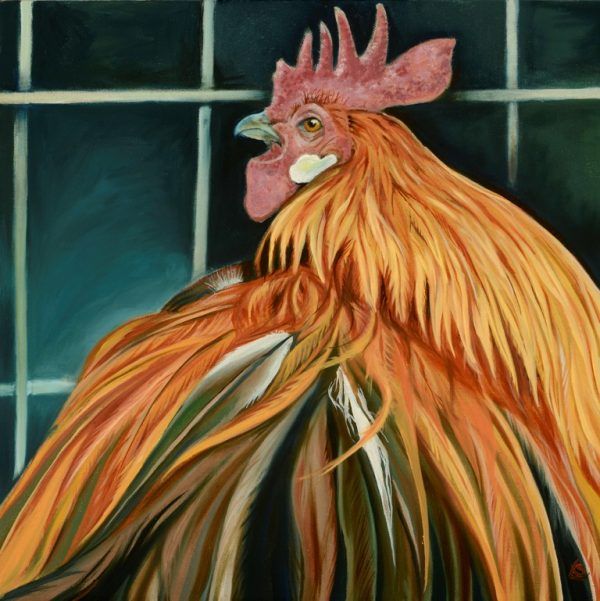 Hen Coasters by Artist Louise Scott