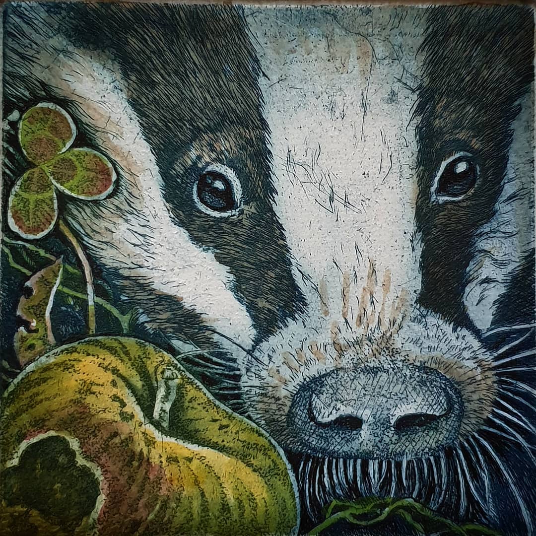Large SQ Animal Cards by Louise Scott