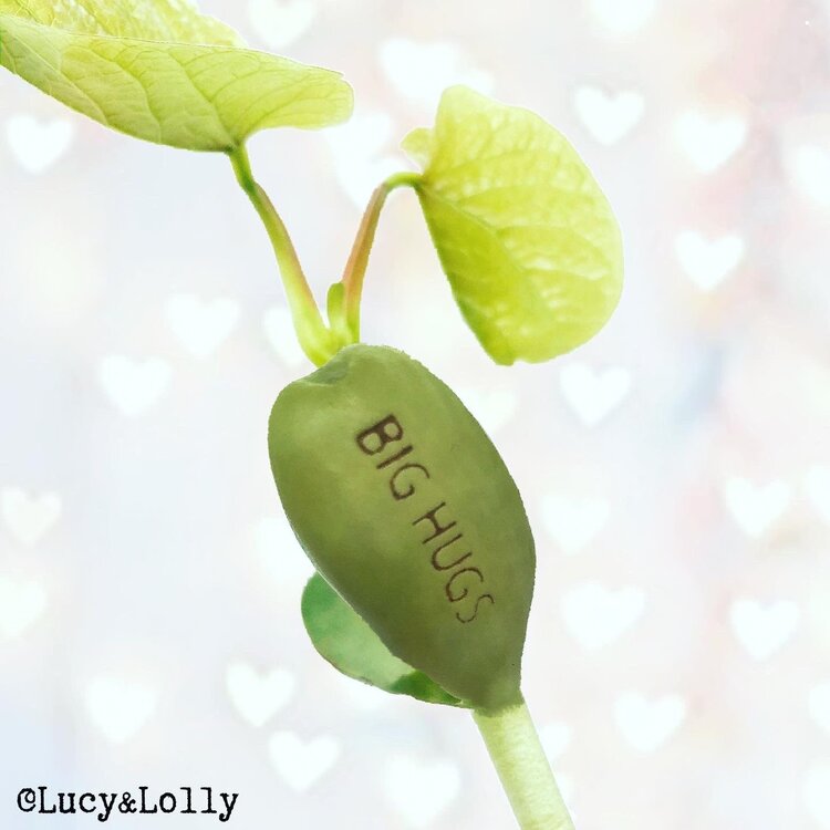 'Mummy Who is Beautiful in Every Way' Magic Bean Card by Lucy & Lolly