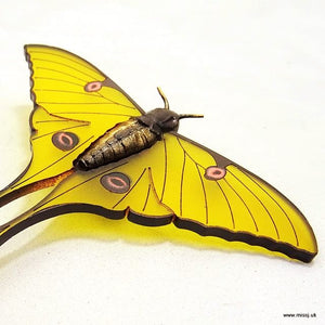 Luna Moth Brooch - Saffron Yellow Made by MissJ Designs