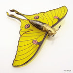 Load image into Gallery viewer, Luna Moth Brooch - Saffron Yellow Made by MissJ Designs
