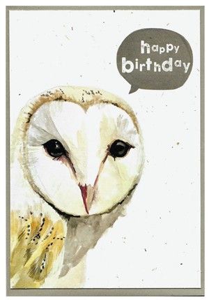 Quirky Bird Cards
