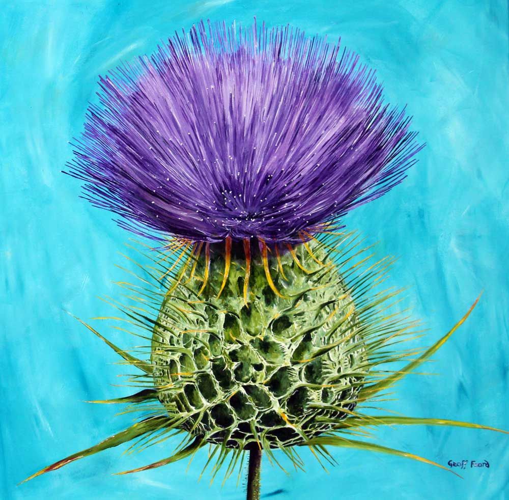 Scottish Thistle Art cards by Geoff Foord