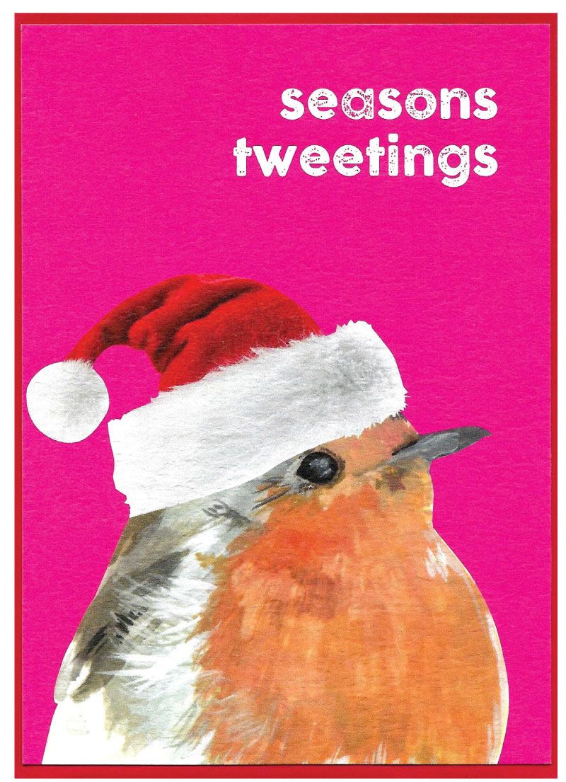 Quirky Christmas Critters Cards