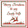 Tartan - Merry Christmas to my Lovely Wife Card