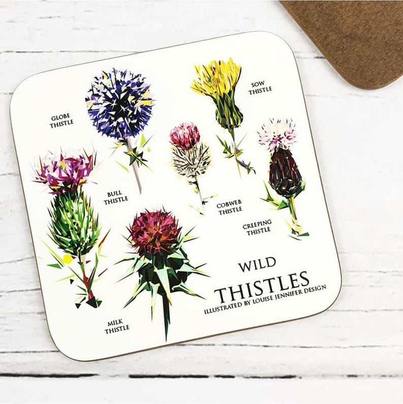 Scottish Thistle Hard Wood Coasters Illustrated by Jennifer Louise Design