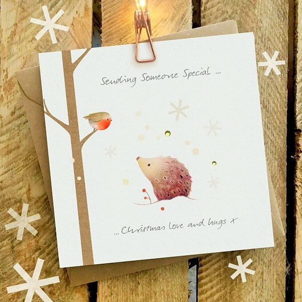 Hedgehog & Robin Christmas Cards by Ginger Betty