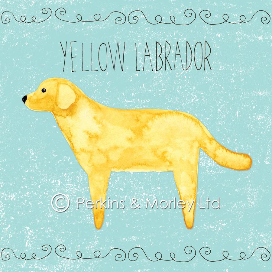'Scratch & Sniff' Dog Cards