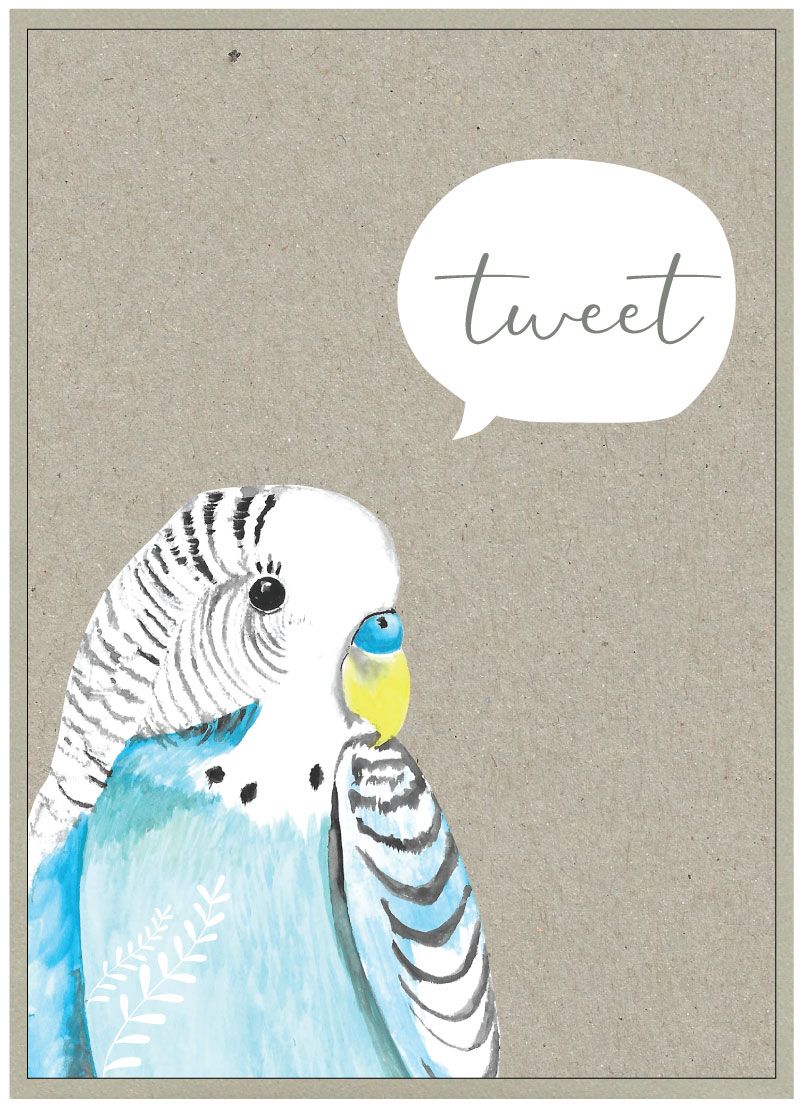Quirky Bird Cards