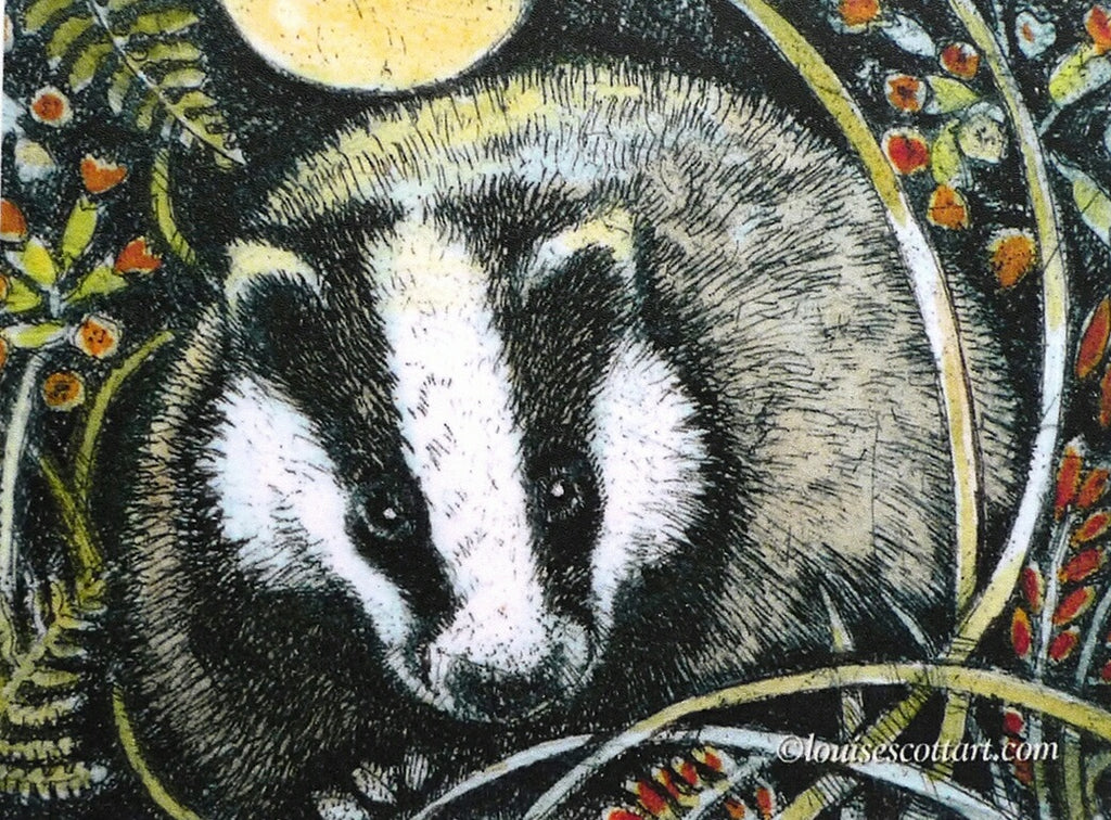 Animal Rectangle Cards by artist Louise Scott