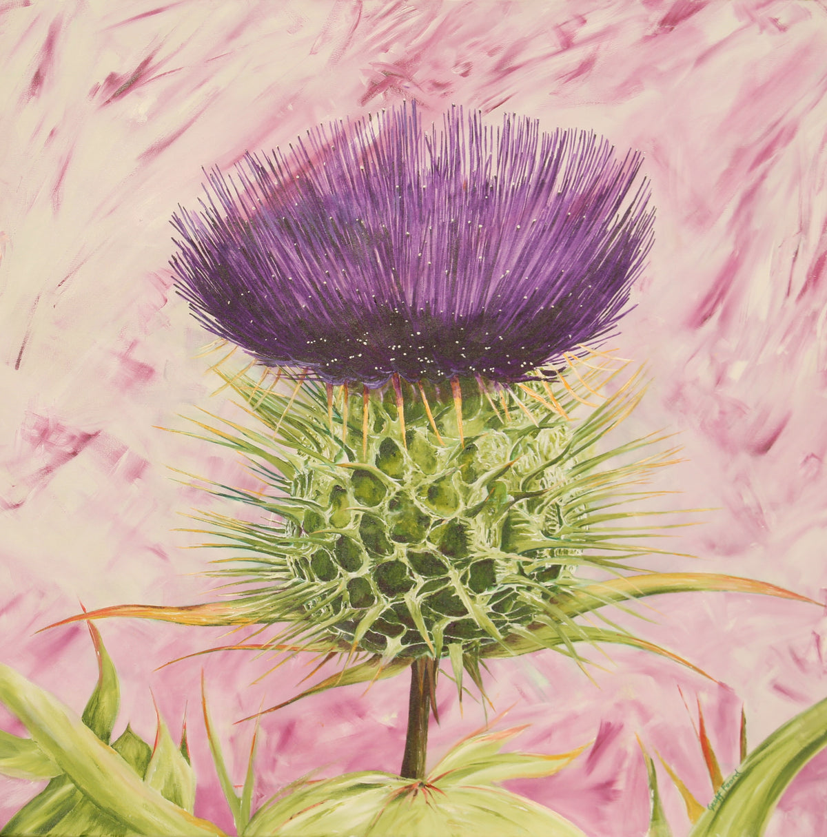 Scottish Thistle Art cards by Geoff Foord