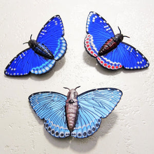 Bluebird Silver Moth Brooch Made by MissJ Designs