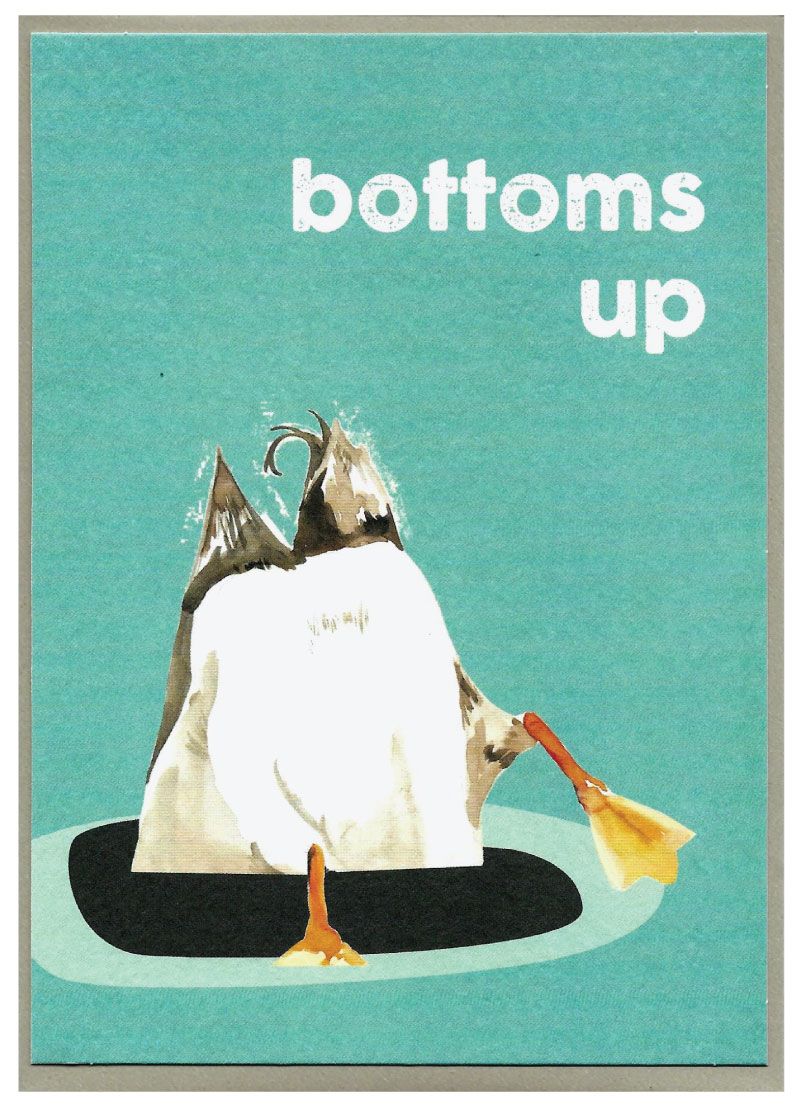 Quirky Bird Cards