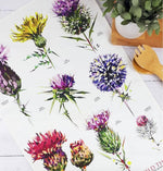 Load image into Gallery viewer, Thistle Tea Towels Illustrated by Louise Jennifer Design
