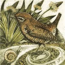 Large SQ Bird Cards by Louise Scott