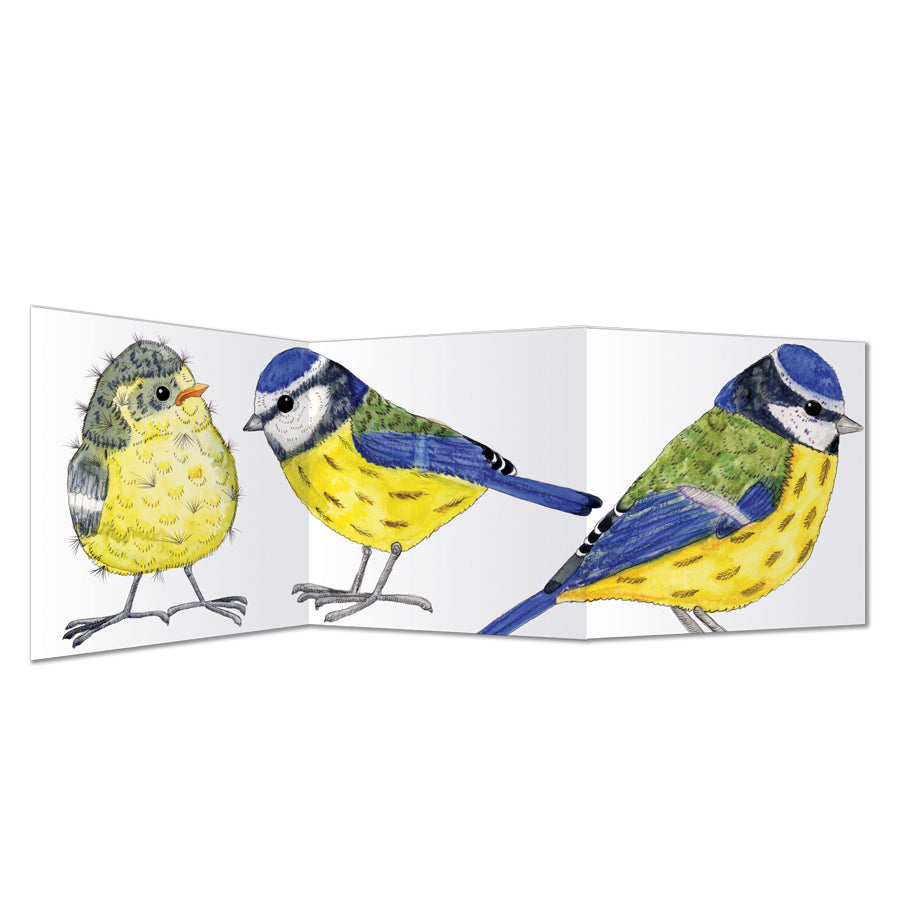 Zigzag Bird Cards