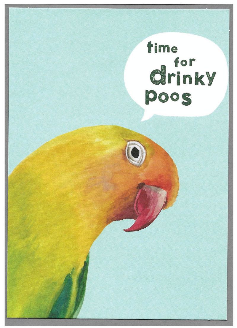 Quirky Bird Cards