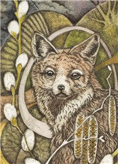 Animal Rectangle Cards by artist Louise Scott
