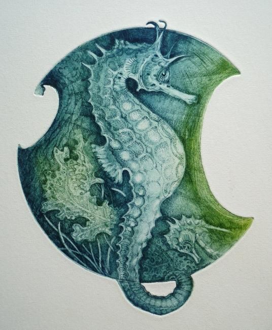 Seahorse & Seal Large SQ Cards by Louise Scott