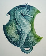 Load image into Gallery viewer, Seahorse &amp; Seal Large SQ Cards by Louise Scott
