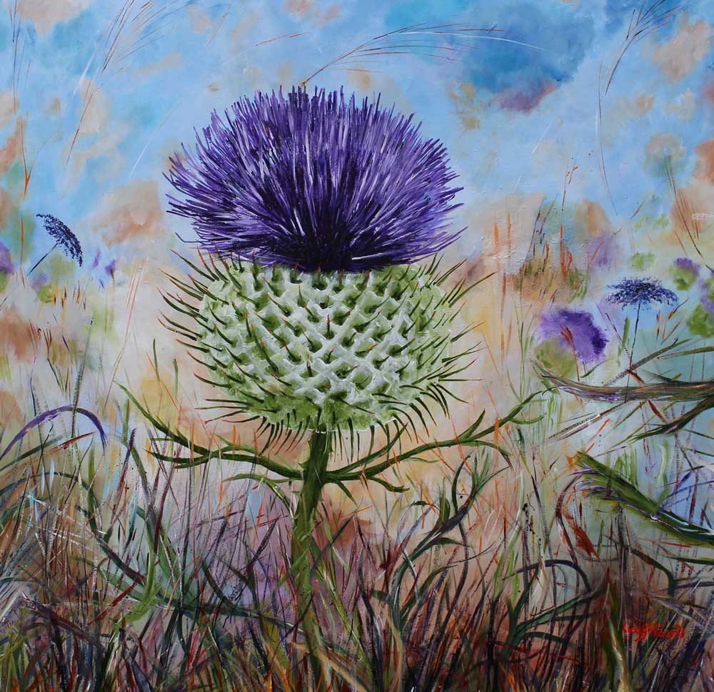 Scottish Thistle Medium Mounted Print by Geoff Foord